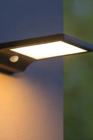 Applique murale extérieur 1 lampe LED Base Meilleur Prix