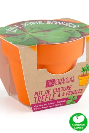 Mini kit d6cm terre cuite trèfle 4 feuilles Paiement Sécurisé