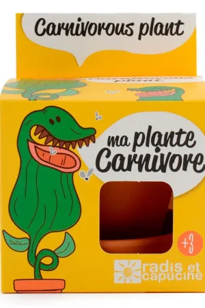 Commander Vite Pot d8cm avec coupelle plantes carnivores