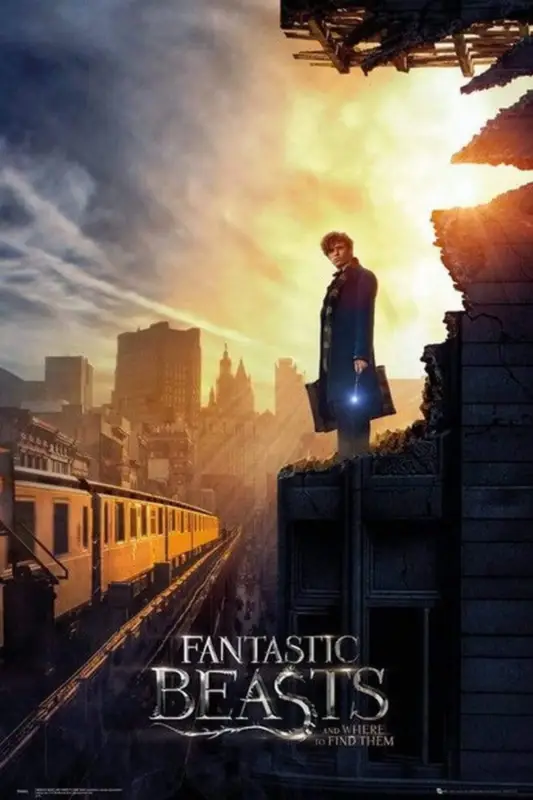 Affaire À Saisir Poster Fantastic Beasts - One Sheet 2 61x91,5cm