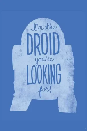 Affiche Art Star Wars - Silhouette Quotes R2D2 40x50cm Promotion
