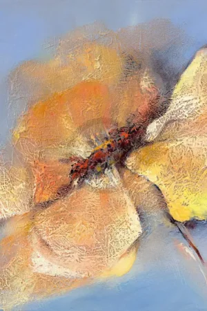 Acheter Direct Affiche Art Elena Filatov - Bright Anemone I 50x50cm