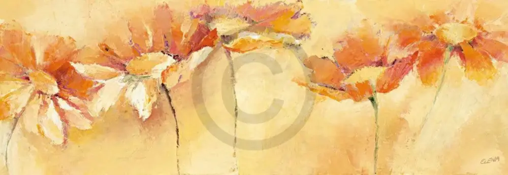 Acheter En Ligne Affiche Art Elena Filatov - Feldblumenparade 99x34cm