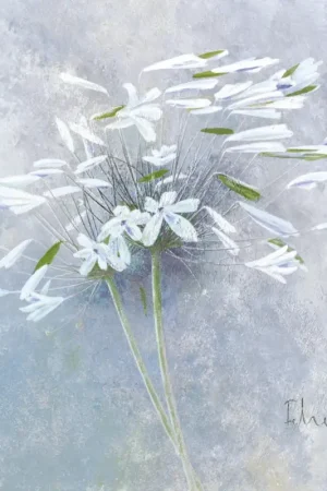 Achetez Aujourd'hui Affiche Art Franz Heigl - Enchanted I 60x60cm