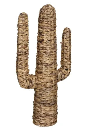Marque Cactus sur pied en roseau