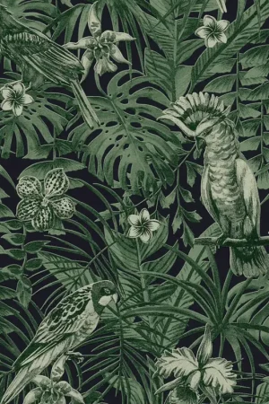 Papier peint imprimé cacatoes jungle Acheter En Ligne