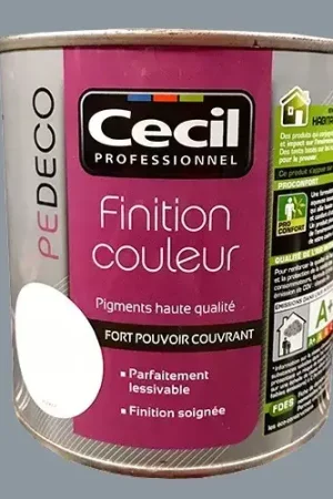 CECIL PE DECO Finition Couleur Gris acier Satin Vente Directe