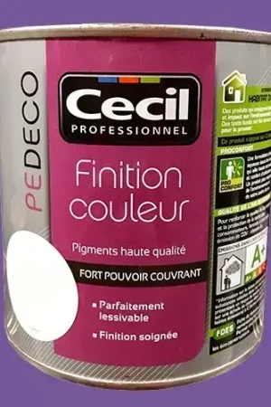 CECIL PE DECO Finition Couleur Bougainvillier Satin Offre Limitée