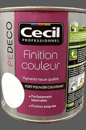 CECIL PE DECO Finition Couleur Gris ardoise Satin Petit Prix