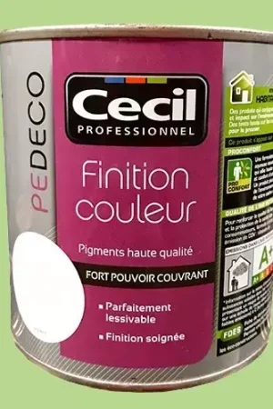 CECIL PE DECO Finition Couleur Vert granny Mat Promotion Saisonnière