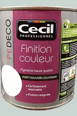 CECIL PE DECO Finition Couleur Gris platine Mat Promotion Saisonnière