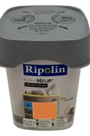 Vente Flash RIPOLIN Peinture Esprit Récup' Pièce à vivre Abricot