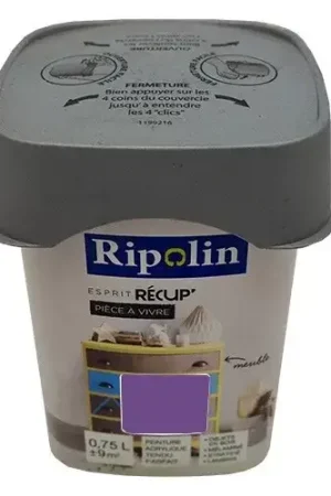 Solde RIPOLIN Peinture Esprit Récup' Pièce à vivre Prune