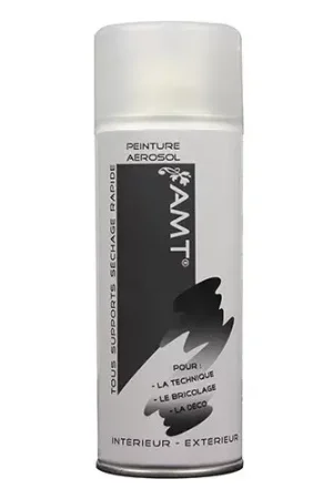 AMT Aérosol Vernis Mat (BPA05) Bon Plan