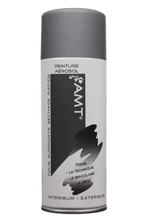 Achetez Aujourd'hui AMT Aérosol Couleur Gris Mat (BPA004)