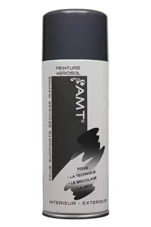 Populaire AMT Aérosol Couleur Ardoise (BPA31)