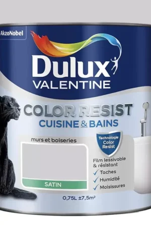 Peinture acrylique Dulux Valentine Color Resist Cuisine & Bains Poudre de riz Nouvelle Collection