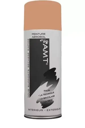 AMT Aérosol Couleur Blush Mat (BPA007) Promotion Saisonnière