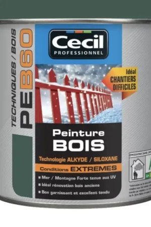 Achat Immédiat Peinture Bois Cécil Professionnel PEB60 Vert normand