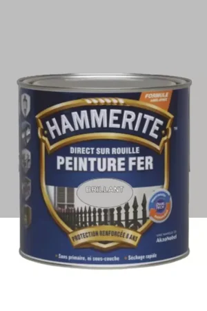 Peinture Fer Hammerite Direct sur Rouille Brillant Argent Seulement Aujourd'hui