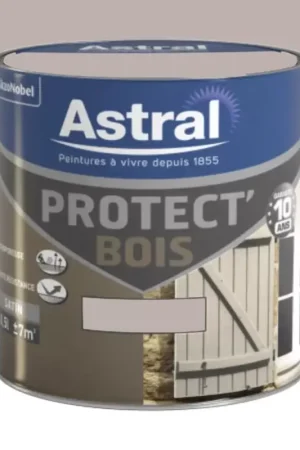 Peinture Bois ASTRAL Protect'Bois Planète Prix Réduit