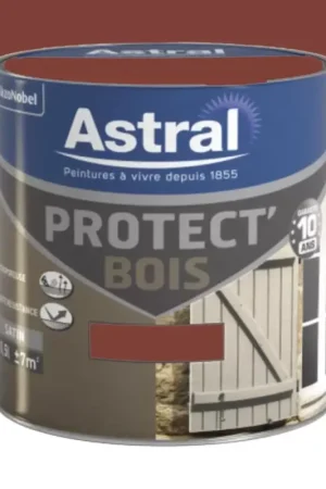 Peinture Bois ASTRAL Protect'Bois Ton Bois Expédié Aujourd'hui