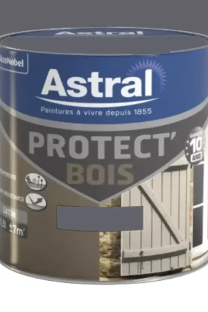 Peinture Bois ASTRAL Protect'Bois Gris Minerai Commander Vite