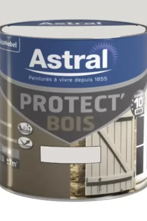 Peinture Bois ASTRAL Protect'Bois Atmosphère Usine Directe