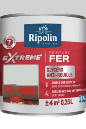 Bon Marché Peinture Fer RIPOLIN eXtrême Gris Clair (ral 7035)