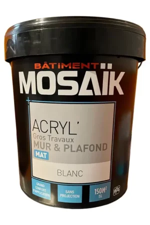 Offre Spéciale Peinture Murs & Plafonds MOSAÏK Acryl' Blanc mat