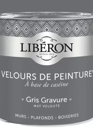Affaire À Saisir Peinture LIBÉRON Velours de Peinture Gris Gravure