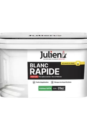 Bon Marché Peinture Murs Et Plafond Julien Blanc Rapide Satin