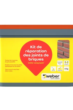 Kit de réparation des joints de briques 5 kg WEBER BEAMIX Authentique