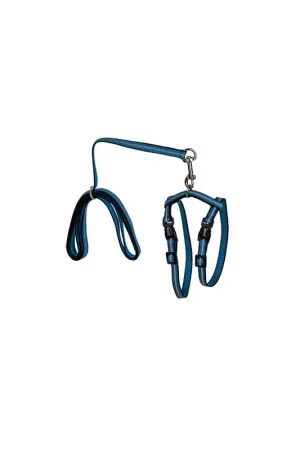 Livraison Express Harnais avec laisse pour chat bleu 120 cm VADIGRAN