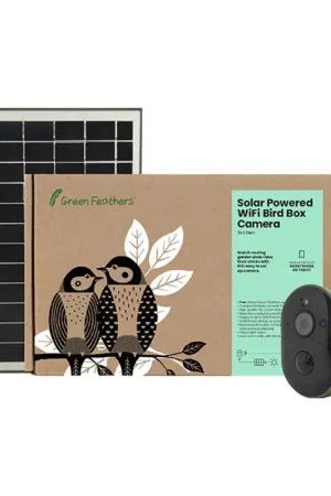 Caméra solaire HD pour nichoir 3e génération GREEN FEATHERS Jusqu'à Épuisement Des Stocks