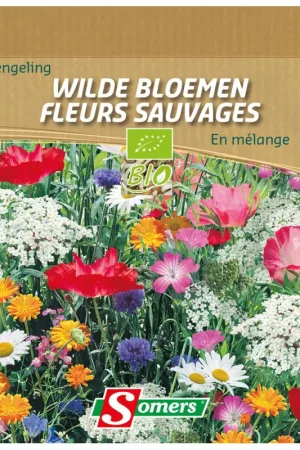 Mélange de semences de fleurs sauvages SOMERS Prix Réduit