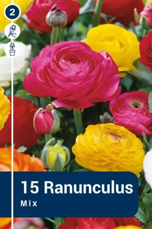 Satisfait Ou Remboursé Bulbes de renoncules Mix 15 pièces
