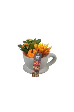 Marque Composition automnale