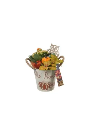 Offre Exclusive Composition automnale