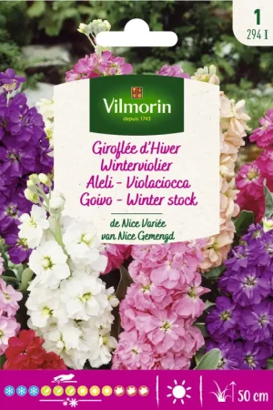 Semences de giroflée d'Hiver de Nice variée VILMORIN Meilleur Choix