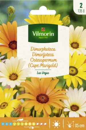 Réduction Semences de dimorphoteca Las-Vegas VILMORIN