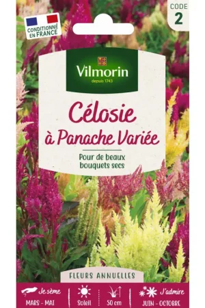 Semences de célosie à Panache variée VILMORIN Produit De Marque