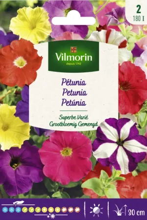 Semences de pétunia Superbe varié VILMORIN Haute Qualité