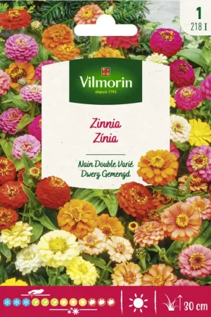Semences de zinnia Nain Double varié VILMORIN Remise