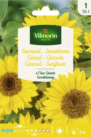 Semences de tournesol à Fleur Géante VILMORIN Satisfait Ou Remboursé