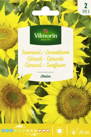 Semences de tournesol Zebulon VILMORIN Pas Cher