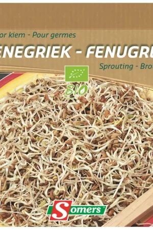 Semences de germes Fenugrec Bio SOMERS Authentique
