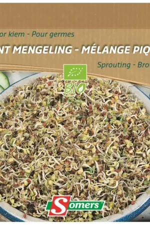 Semences de germes Mélange Piquant Bio SOMERS Dernière Chance