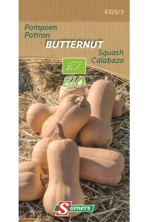 Semences de courge Potiron Butternut Bio SOMERS Bon Marché