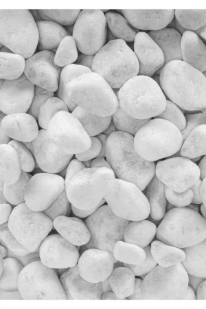 Mini big bag Gravier Carrara en marbre blanc 25-40 mm 450 kg COECK Offre Spéciale